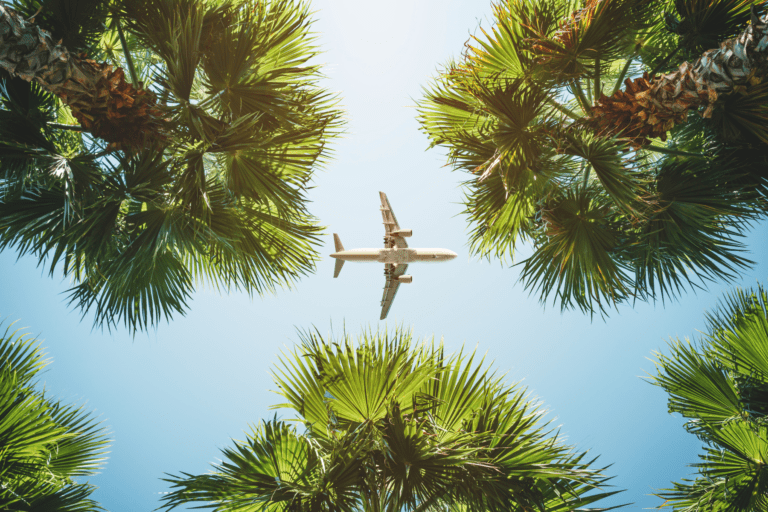 Airplane in flight with palm trees